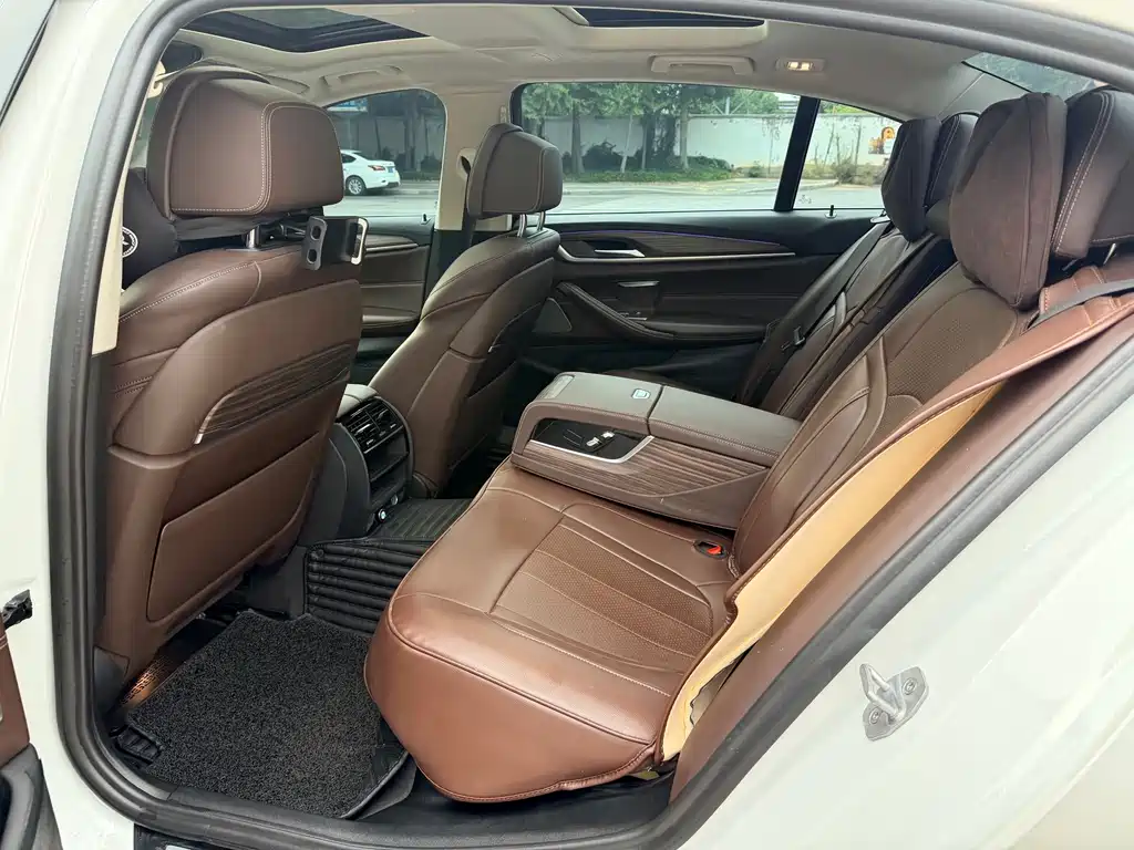 BMW 5 Series New Energy 2019