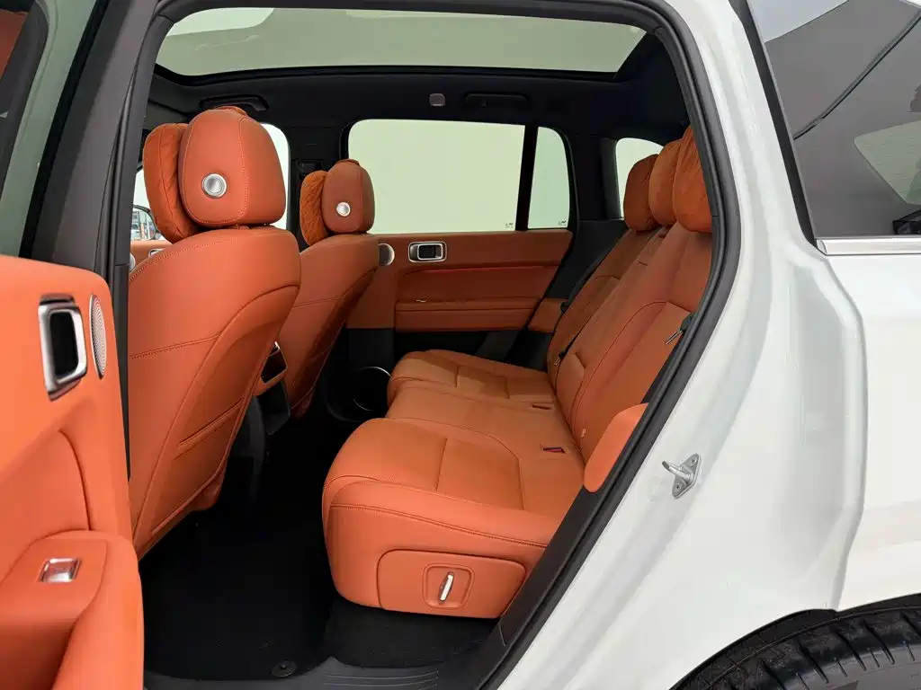 Li Auto L6 2024 — фото 19