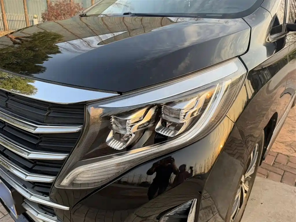 GAC Motor Trumpchi M8 2023 — фото 18
