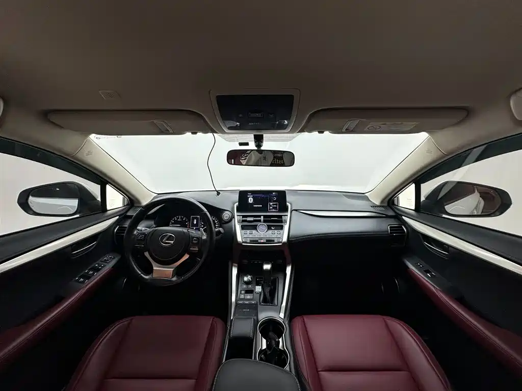 Lexus NX 2021 — фото 10