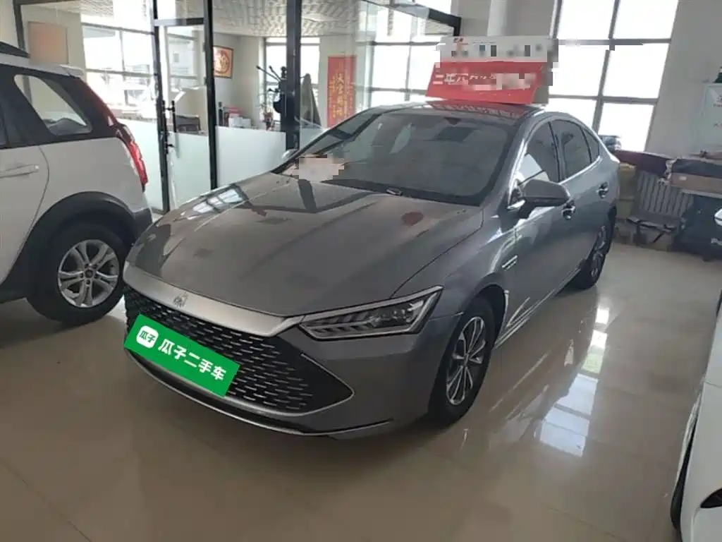 BYD Qin PLUS 2024 — фото 1