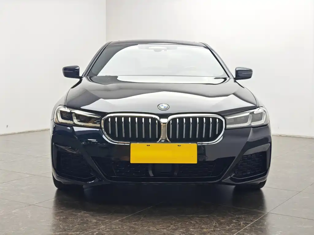 BMW 5 Series New Energy 2021 — фото 5