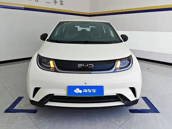 BYD Dolphin 2026