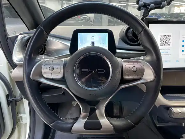 BYD Dolphin 2021