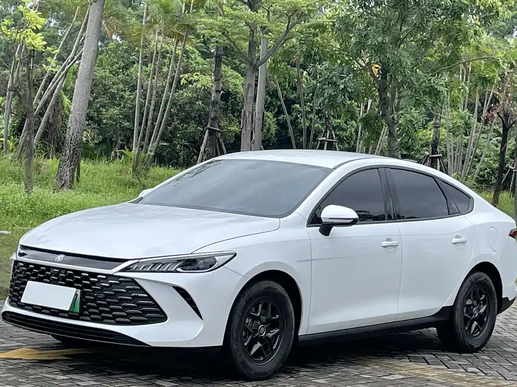 BYD Qin PLUS 2025 — фото 2