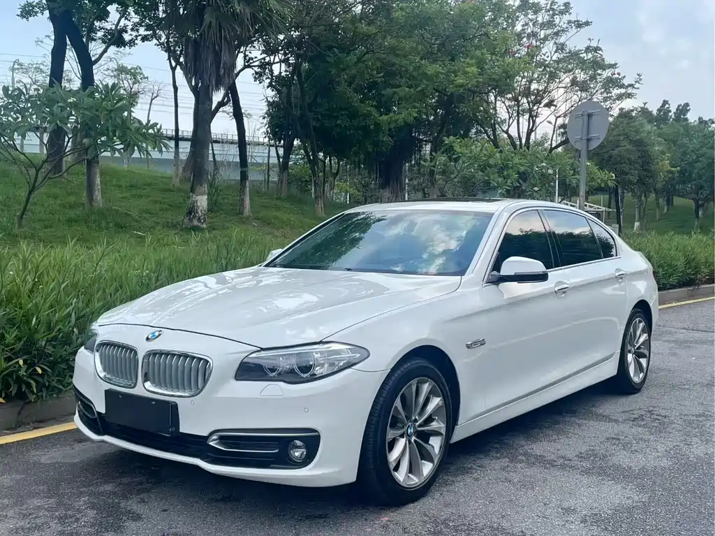 BMW 5 Series 2014 — фото 1