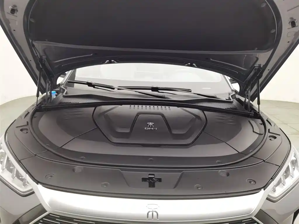 BYD PLUS New Energy 2022 — фото 6