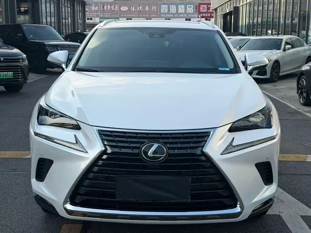Lexus NX 2020 — фото 3