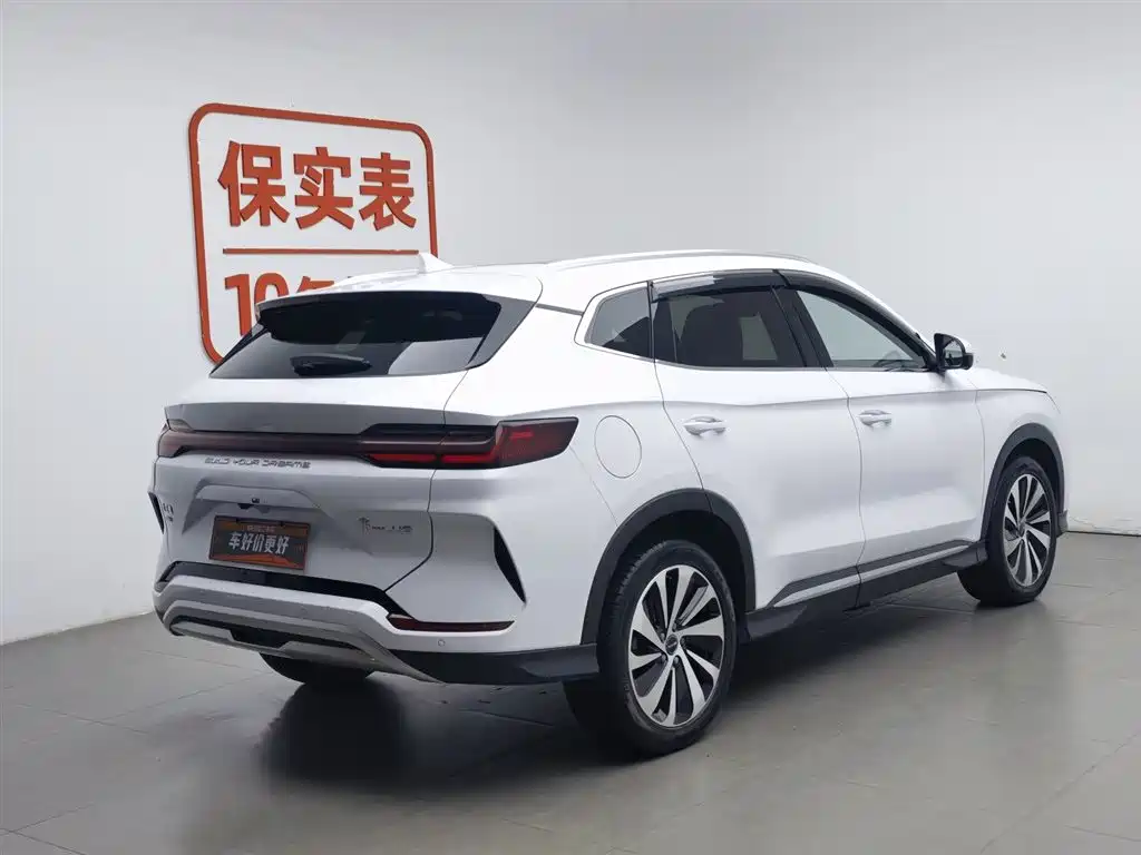 BYD PLUS New Energy 2024 — фото 2