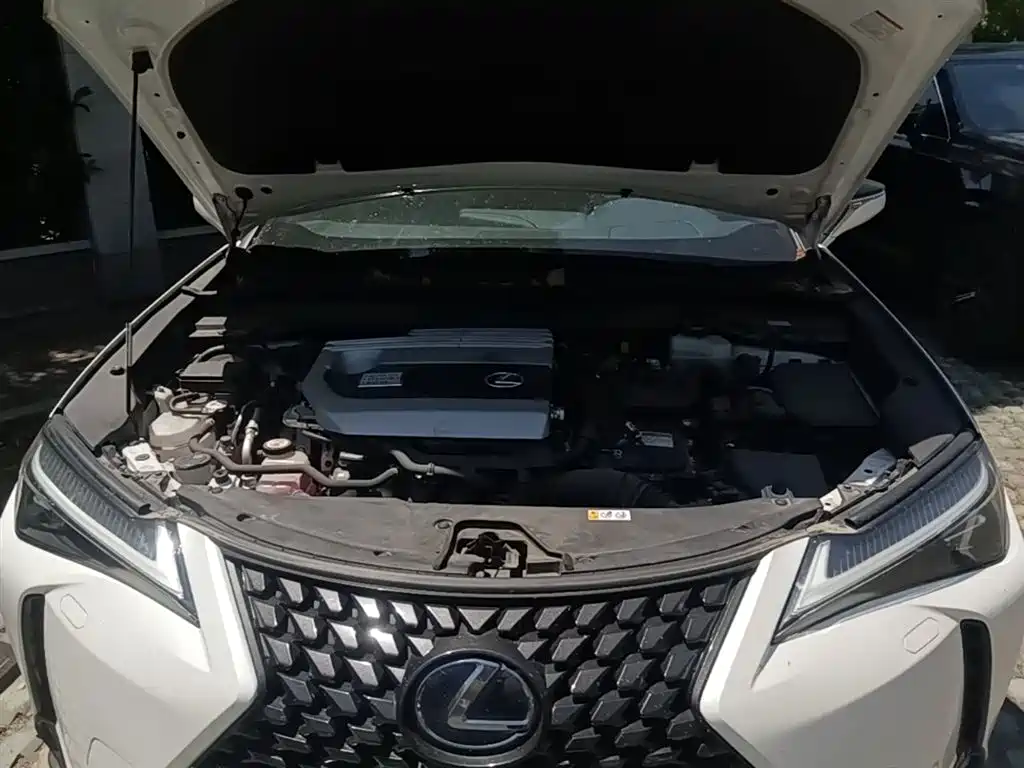Lexus UX 2020 — фото 20
