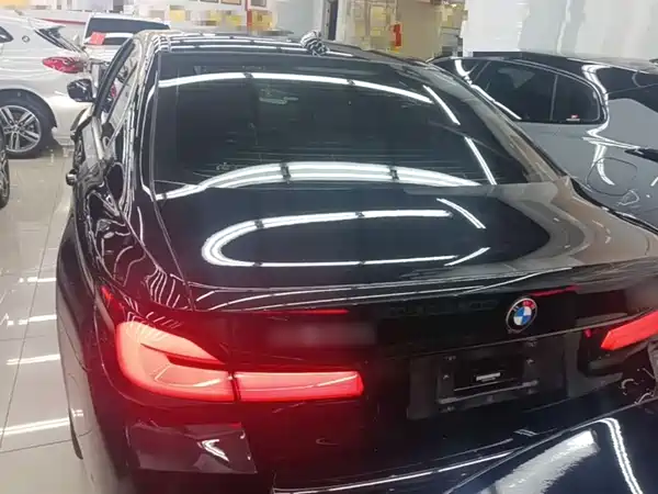 BMW 5 Series New Energy 2021