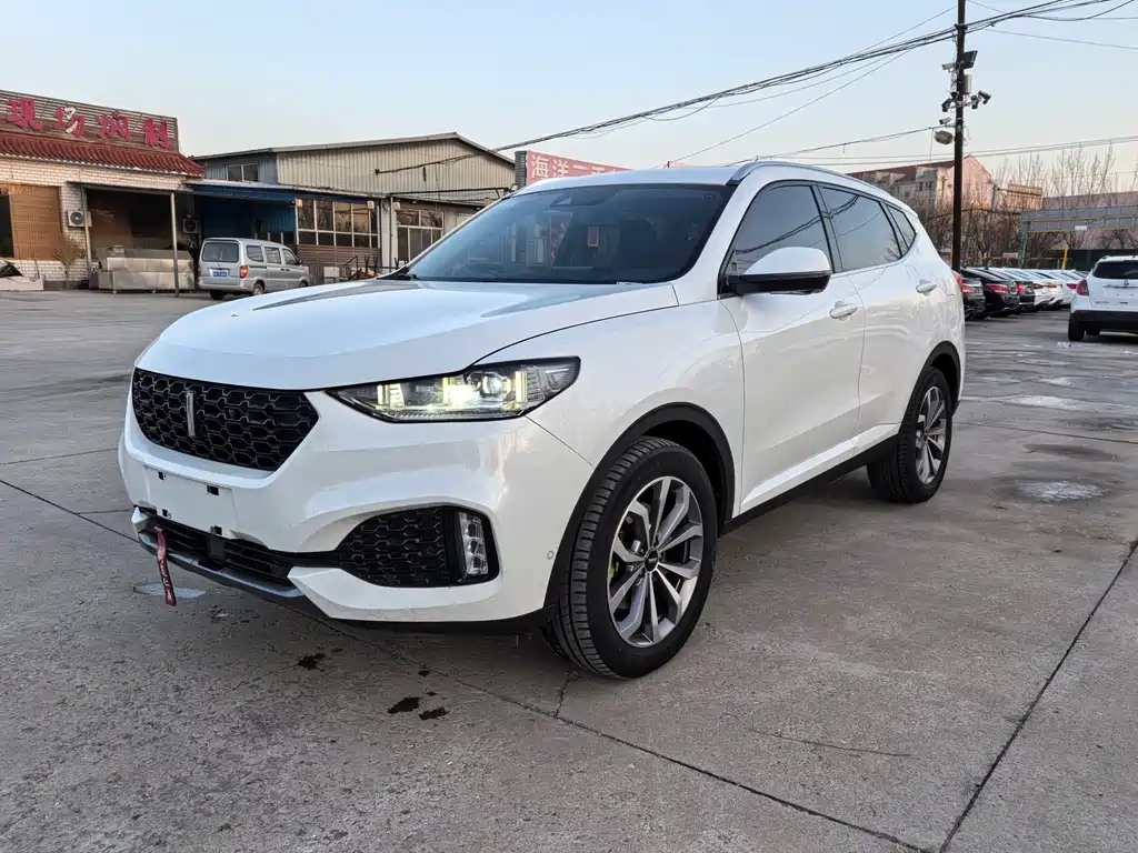 Wey VV6 2018