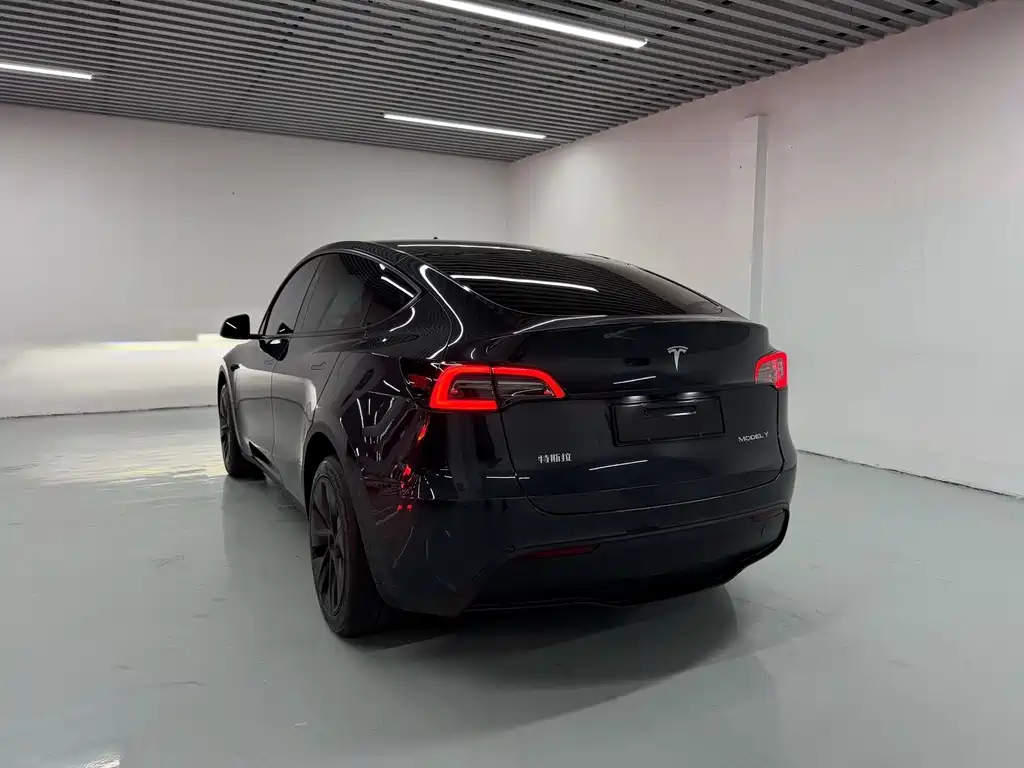 Tesla Model Y 2024 — фото 10