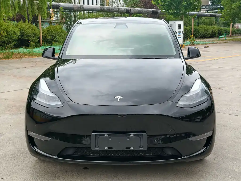 Tesla Model Y 2021 — фото 2