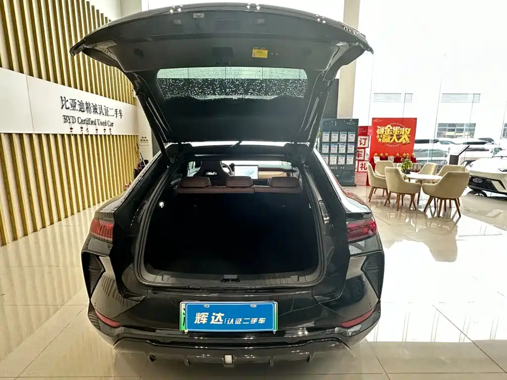 BYD Song L EV 2025 — фото 8