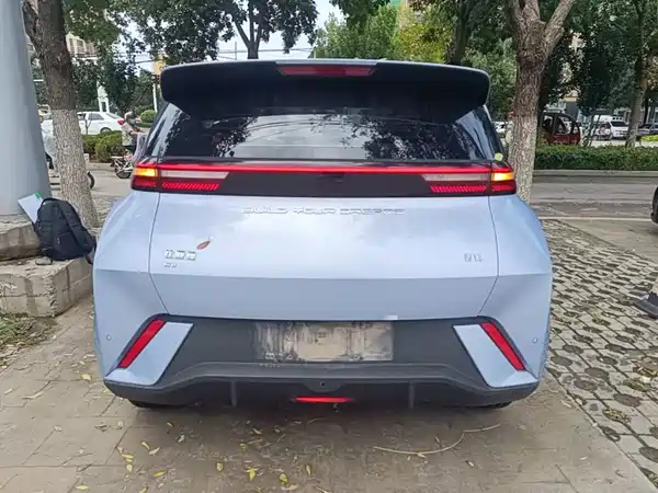 BYD Seagull 2024