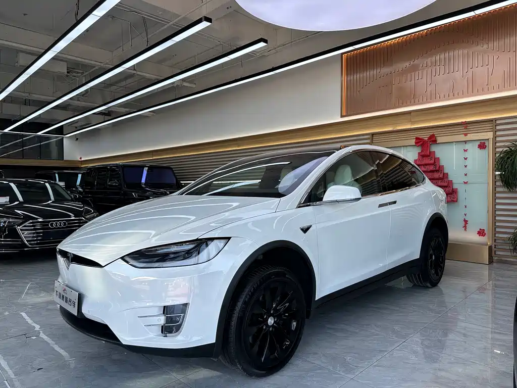 Tesla Model X 2019 — фото 1