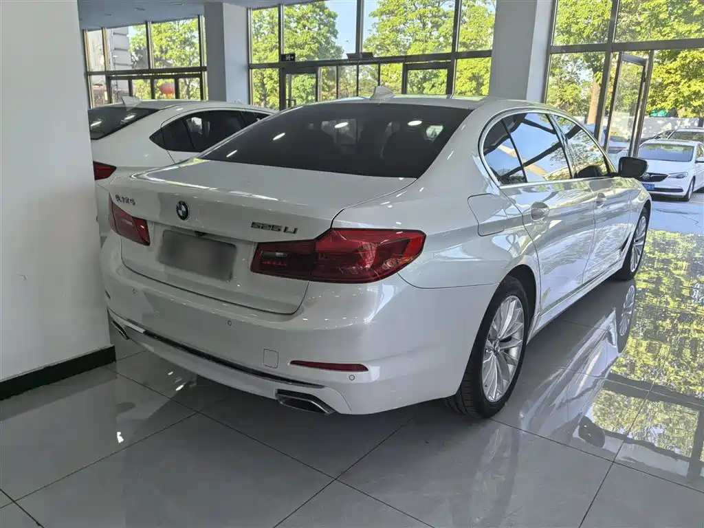 BMW 5 Series 2019 — фото 11