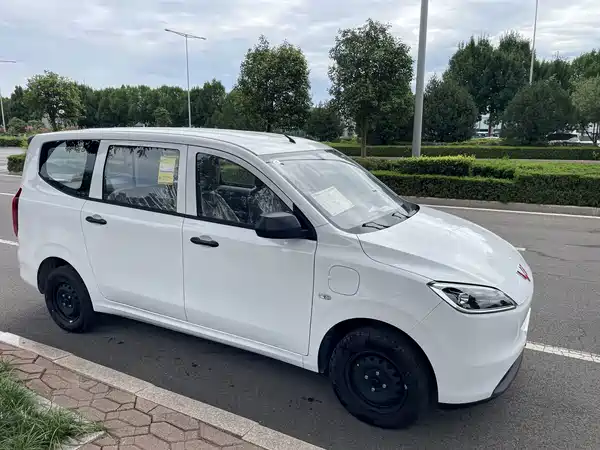 Wuling Hongguang New Energy 2026