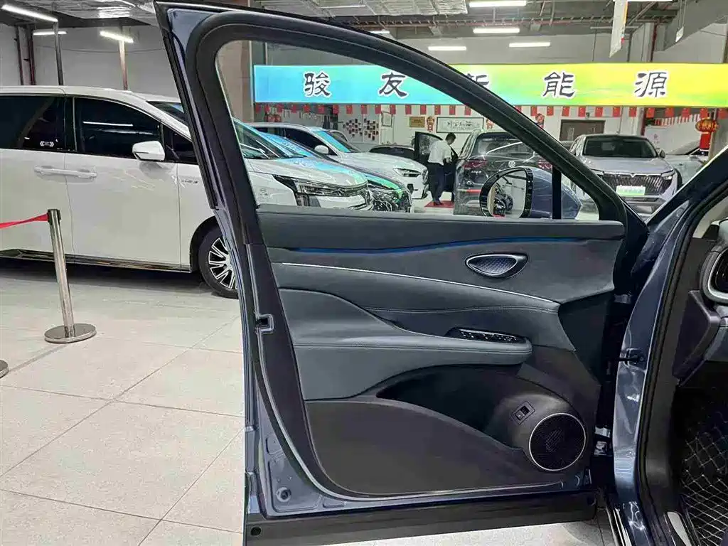 BYD Sealion 07 DM-i 2025 — фото 22