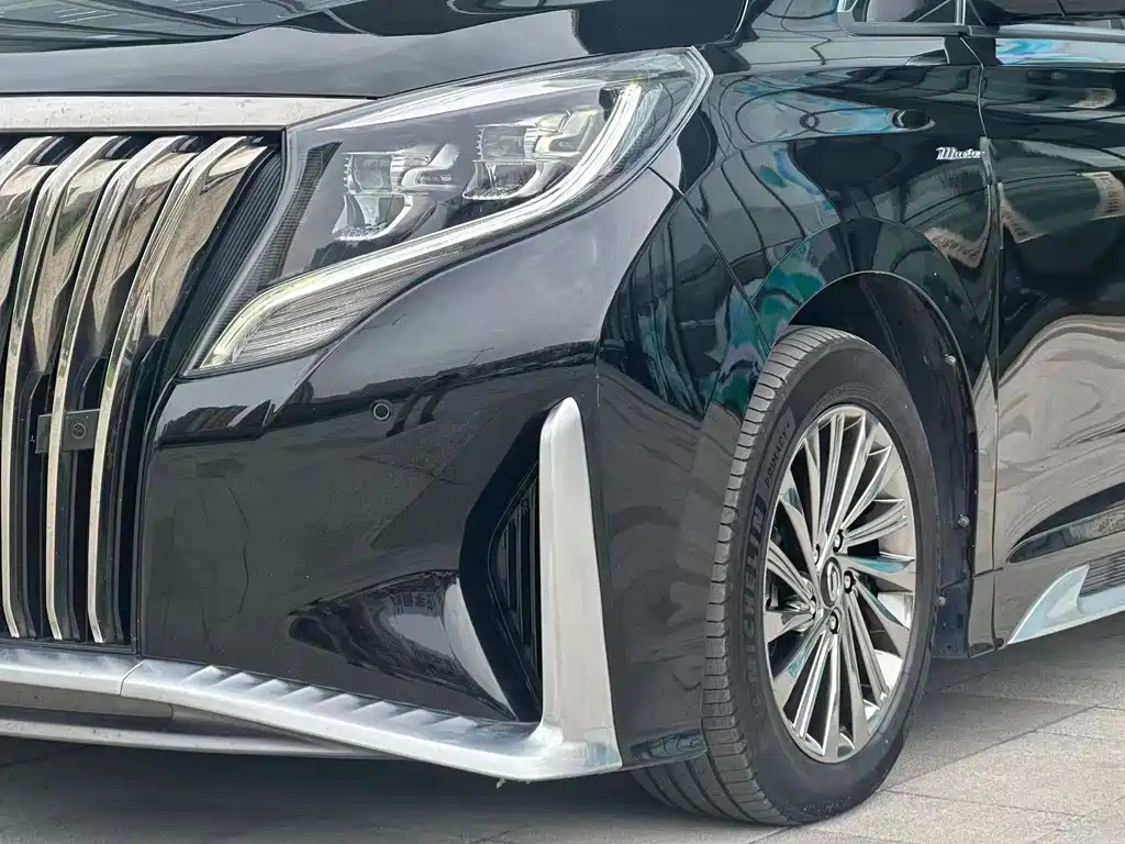 GAC Motor Trumpchi M8 2022 — фото 11