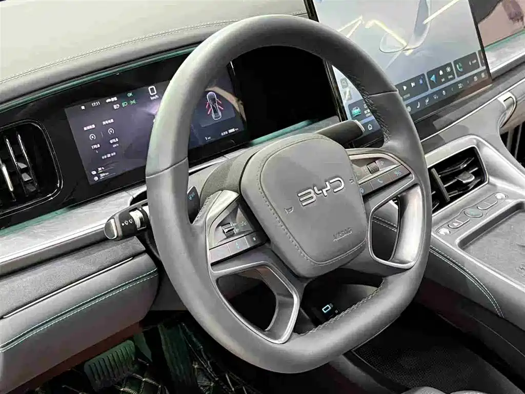 BYD Sealion 07 DM-i 2025 — фото 21