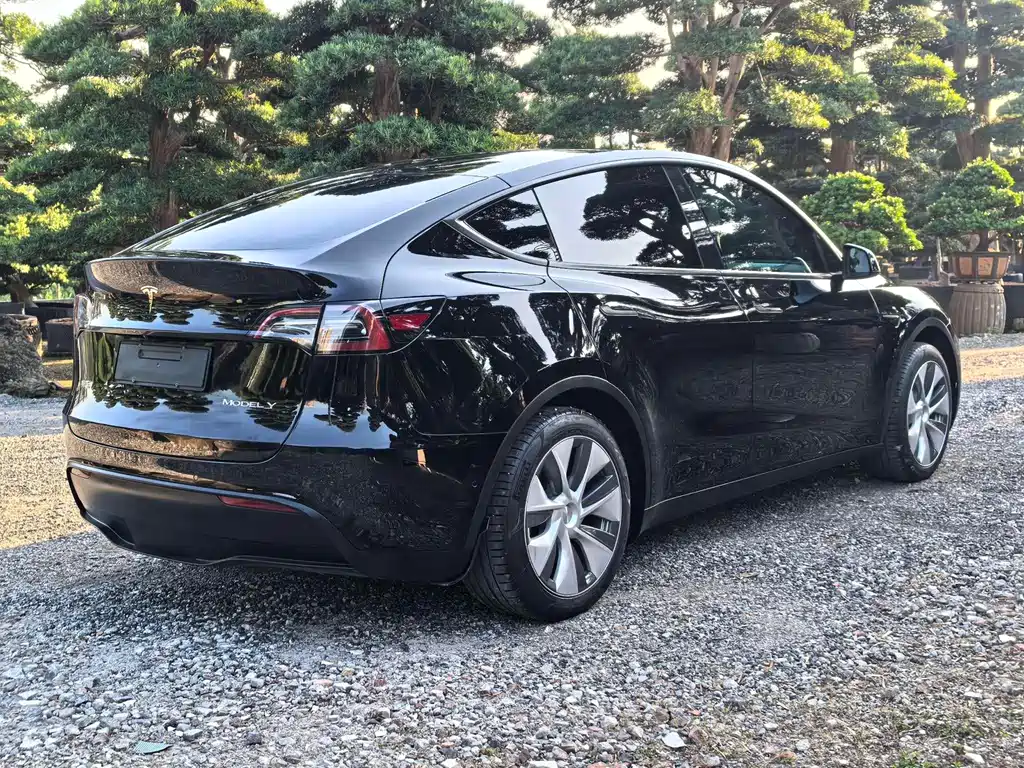 Tesla Model Y 2023 — фото 13