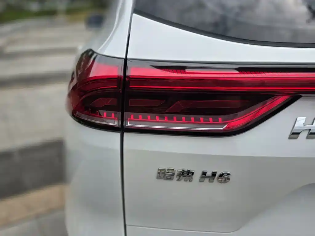 Haval H6 2023 — фото 19