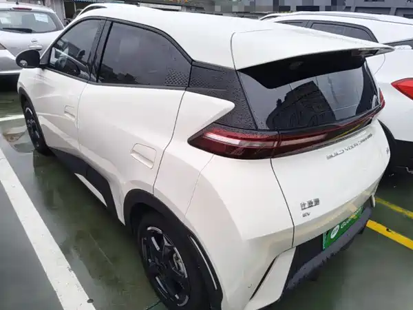 BYD Seagull 2024