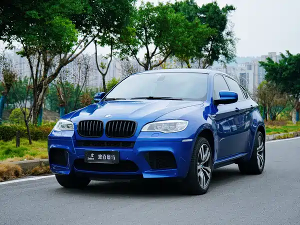 BMW X6 M 2010