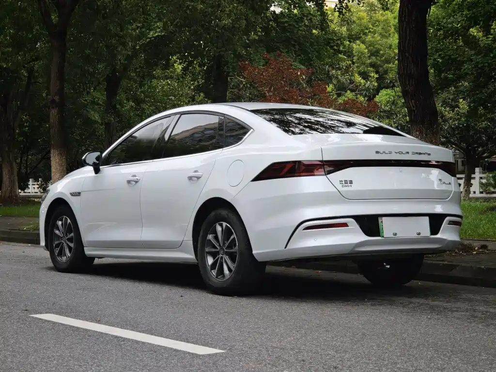 BYD Qin PLUS 2024 — фото 16