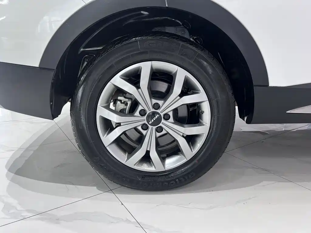 Haval H6 2023 — фото 20