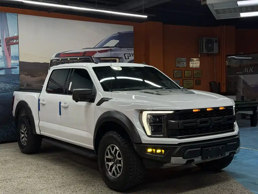 Ford F-150 Raptor 2024 — фото 3