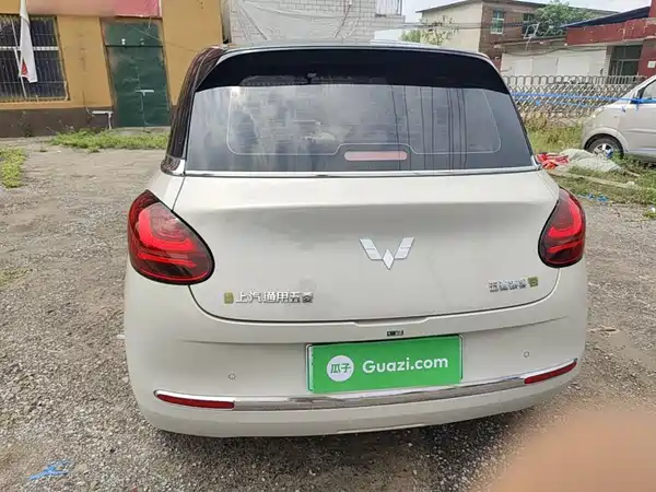 Wuling Bingo 2024