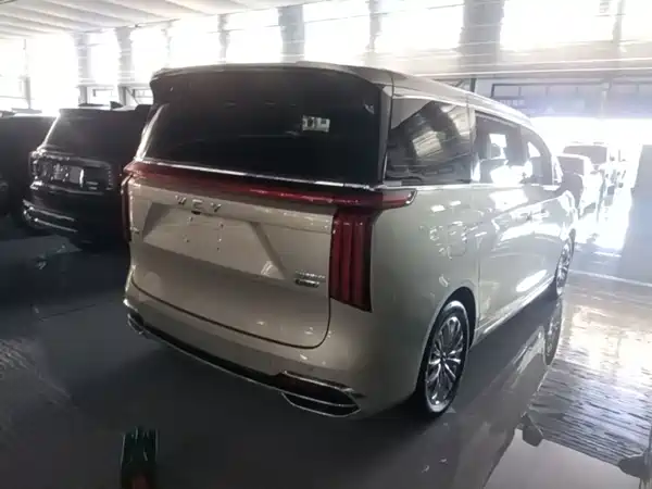 Wey Wey 2024