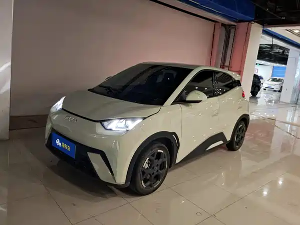 BYD Seagull 2024