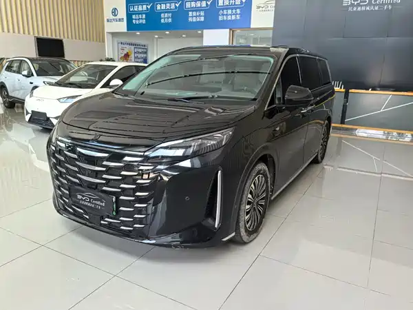 BYD Summer 2025