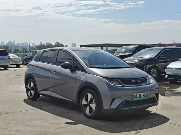 BYD Dolphin 2024