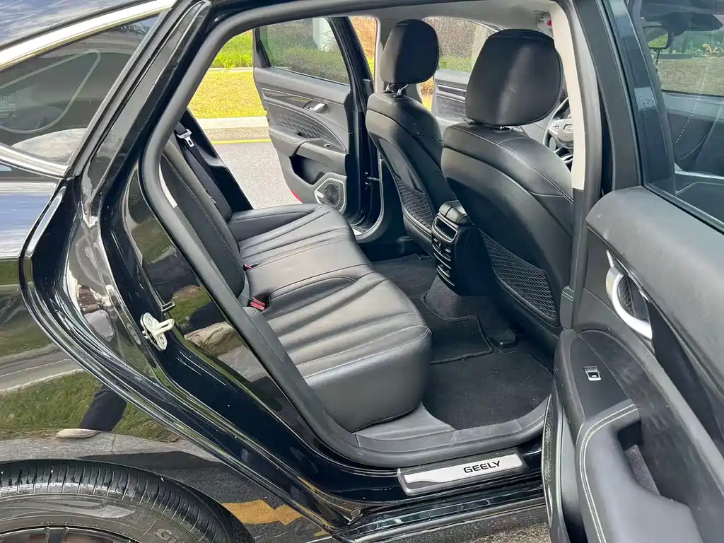 Geely Borui Hybrid 2020 — фото 11