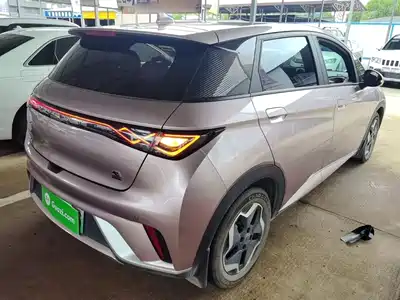 BYD Dolphin 2022