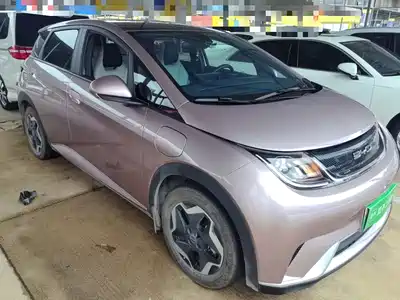 BYD Dolphin 2022