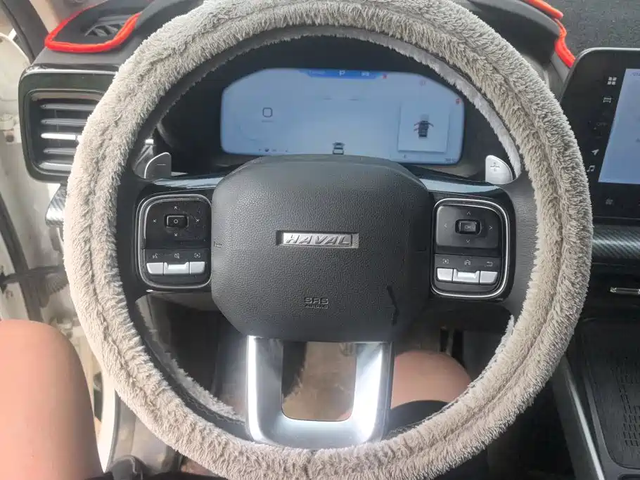 Haval Cool Dog 2023 — фото 15