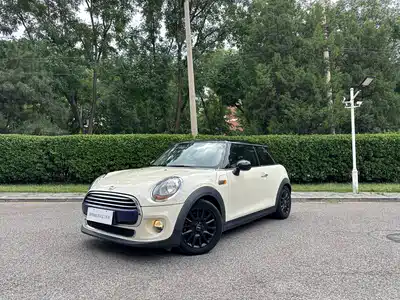 MINI MINI 2015