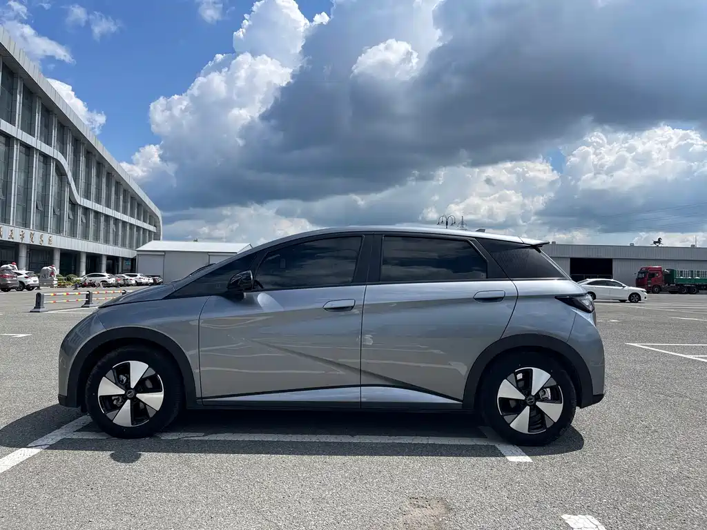 BYD Dolphin 2024