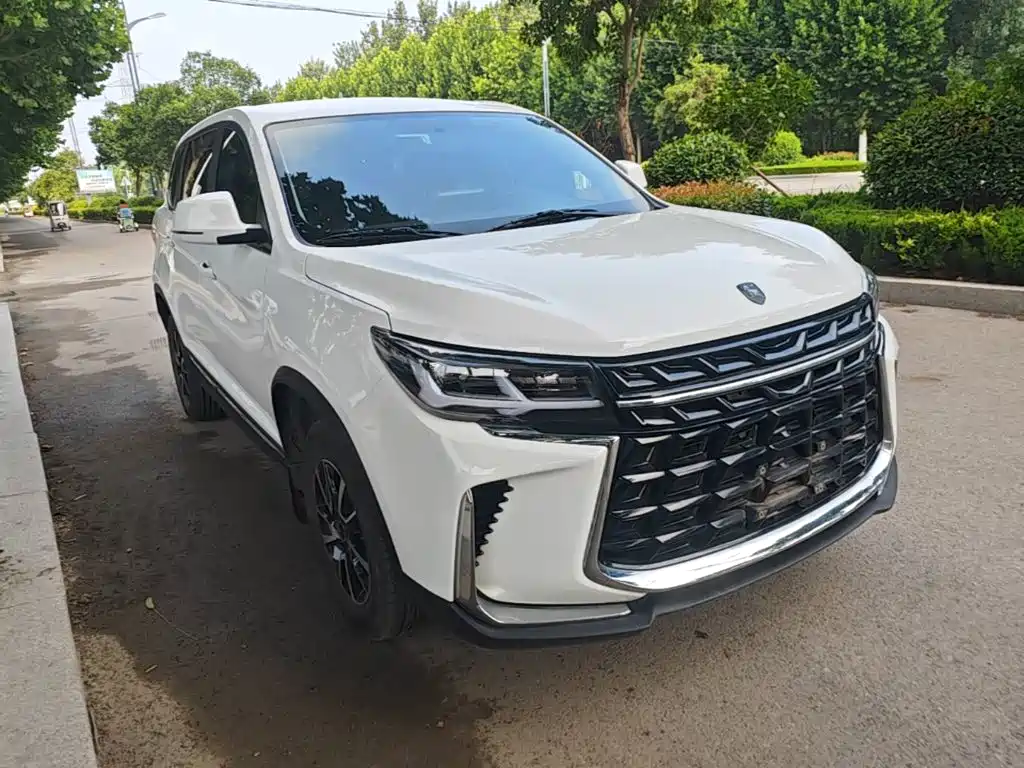 Dongfeng Fengxing T5 2024