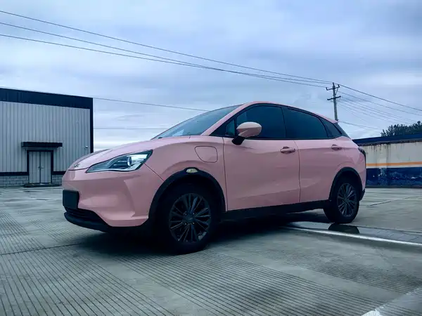 Neta V 2022