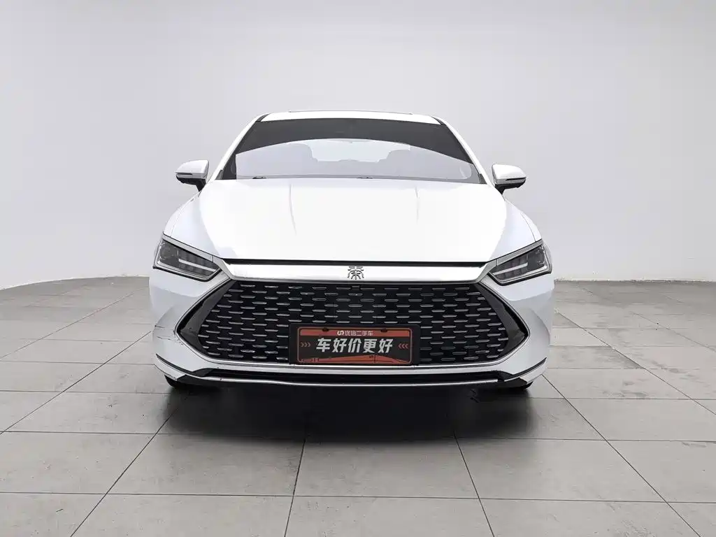 BYD Qin PLUS 2023 — фото 3