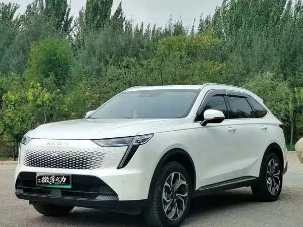 Haval Xiaolong MAX 2023