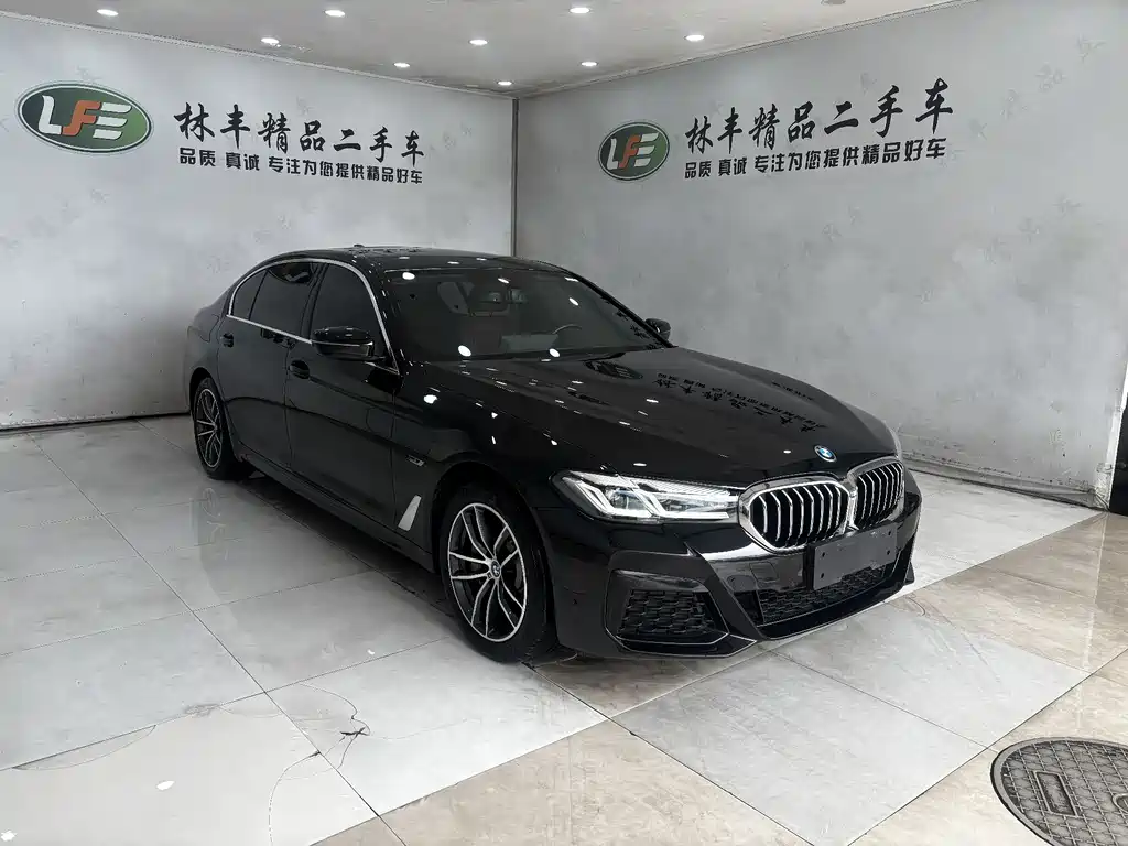 BMW 5 Series New Energy 2024