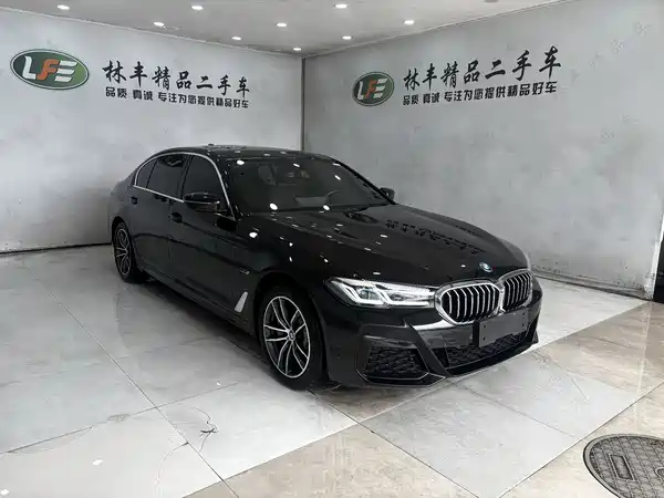 BMW 5 Series New Energy 2024